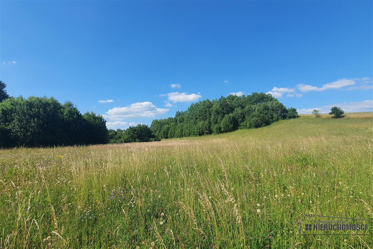 Sprzedaż Działka rolna Mieszałki