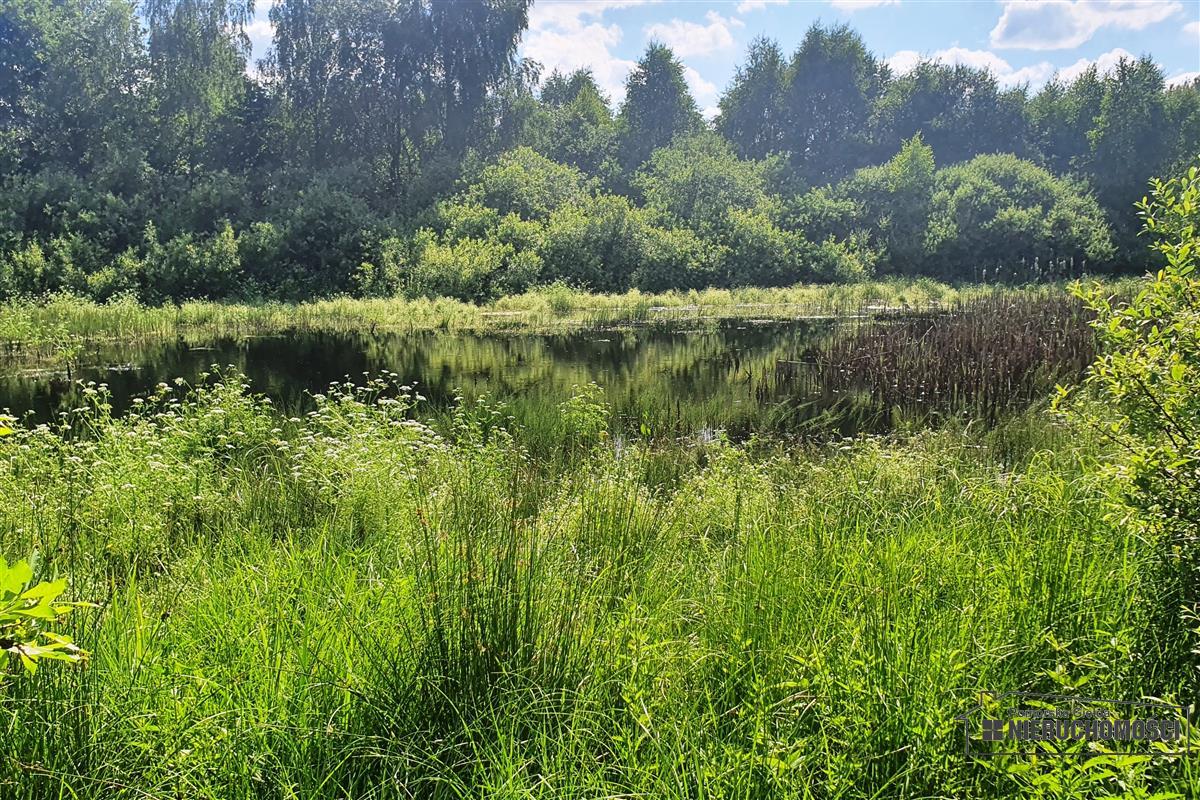 Sprzedaż Działka rolna Mieszałki