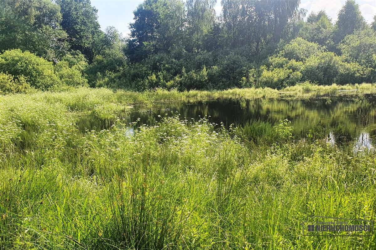 Sprzedaż Działka rolna Mieszałki