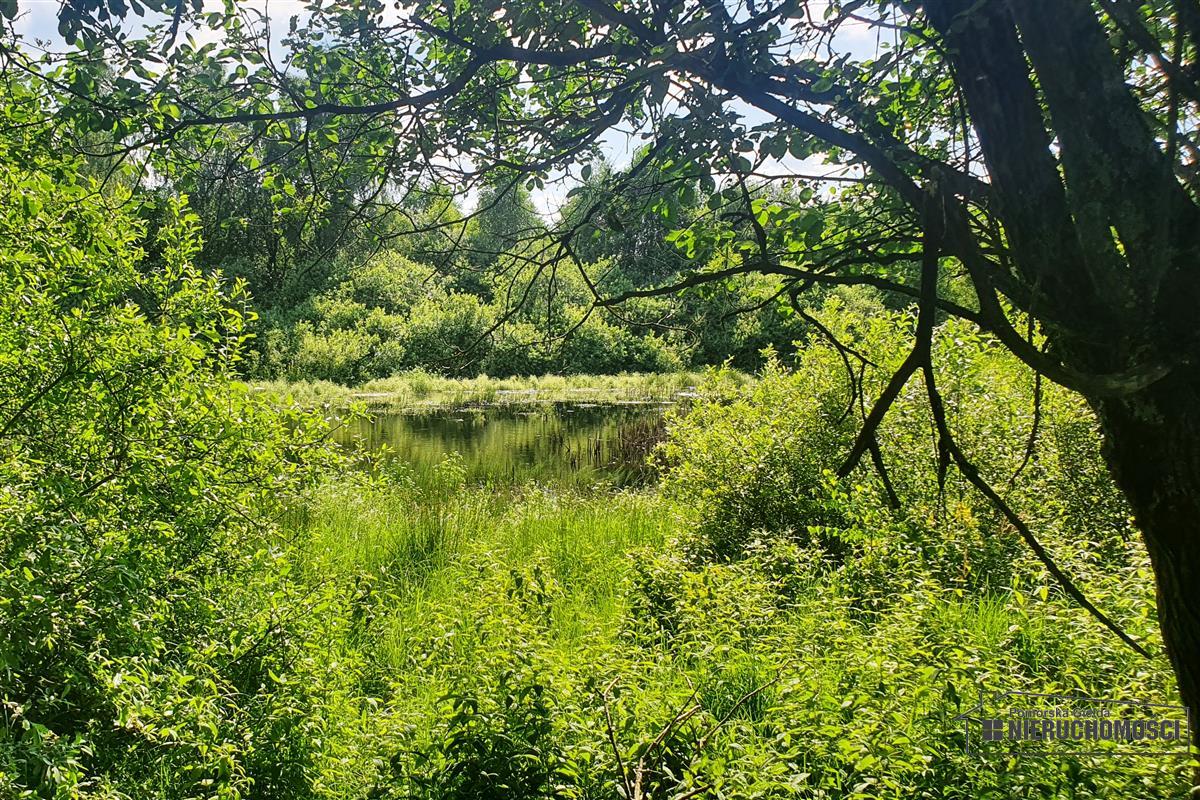 Sprzedaż Działka rolna Mieszałki