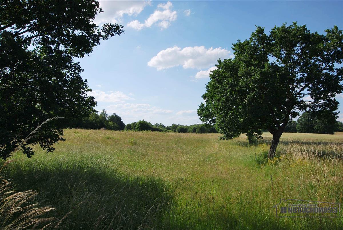 Sprzedaż Działka rolna Mieszałki