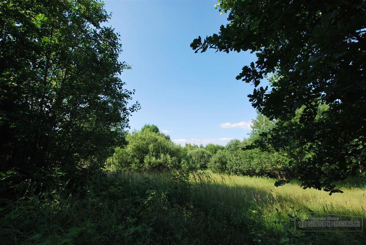 Sprzedaż Działka rolna Mieszałki