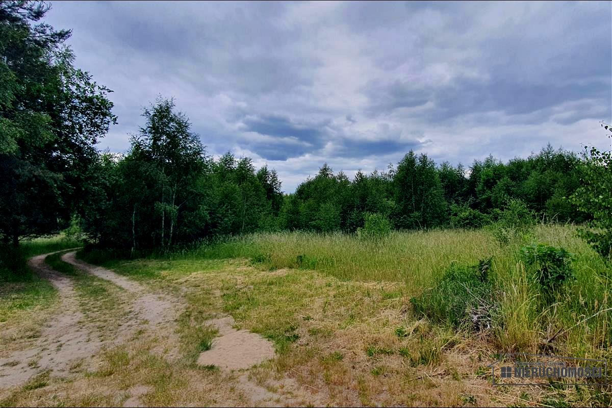 Sprzedaż Działka rekreacyjna Silnowo