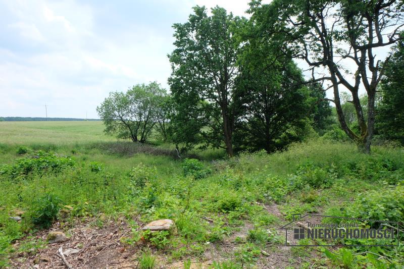 Sprzedaż Działka budowlana Łubowo