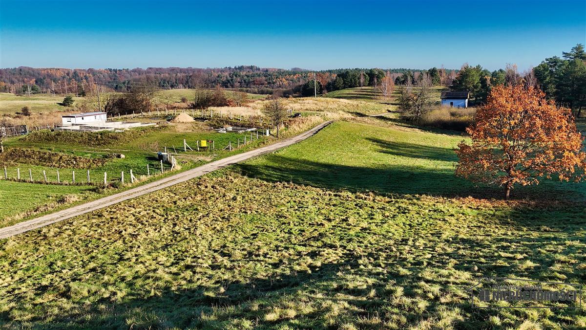 Sprzedaż Działka budowlana Sikory