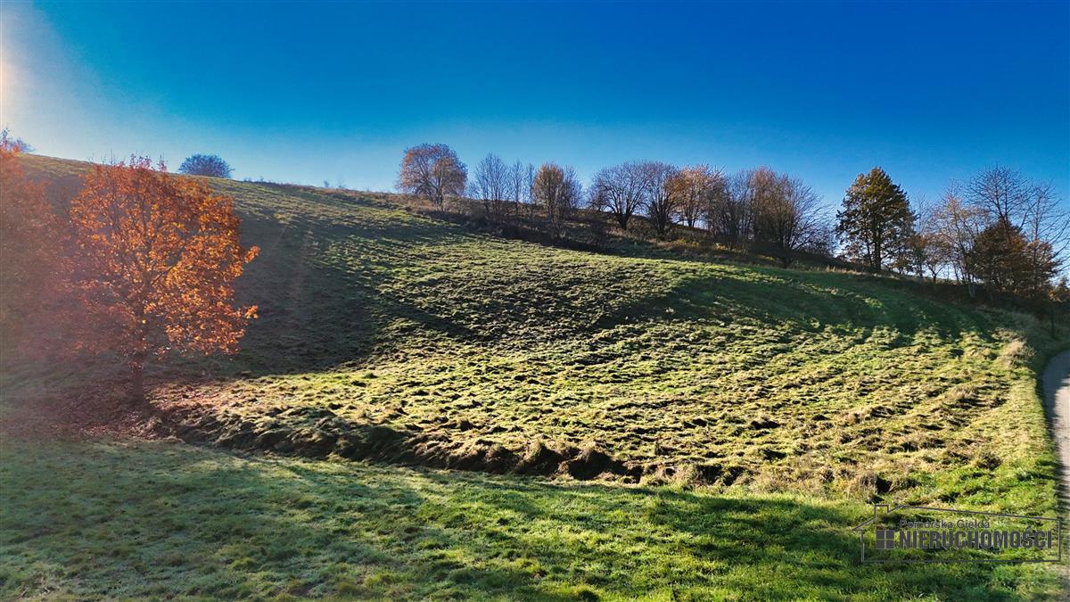 Sprzedaż Działka budowlana Sikory