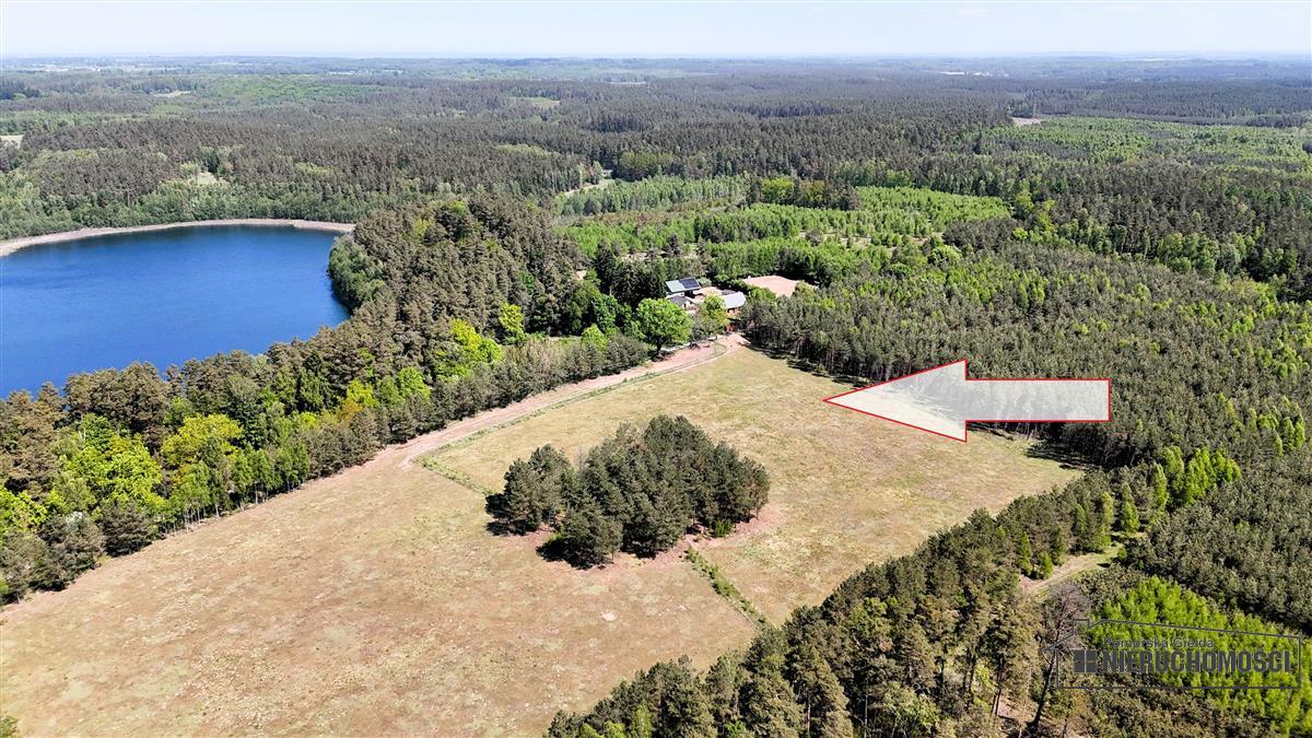 Sprzedaż Działka siedliskowa Okole