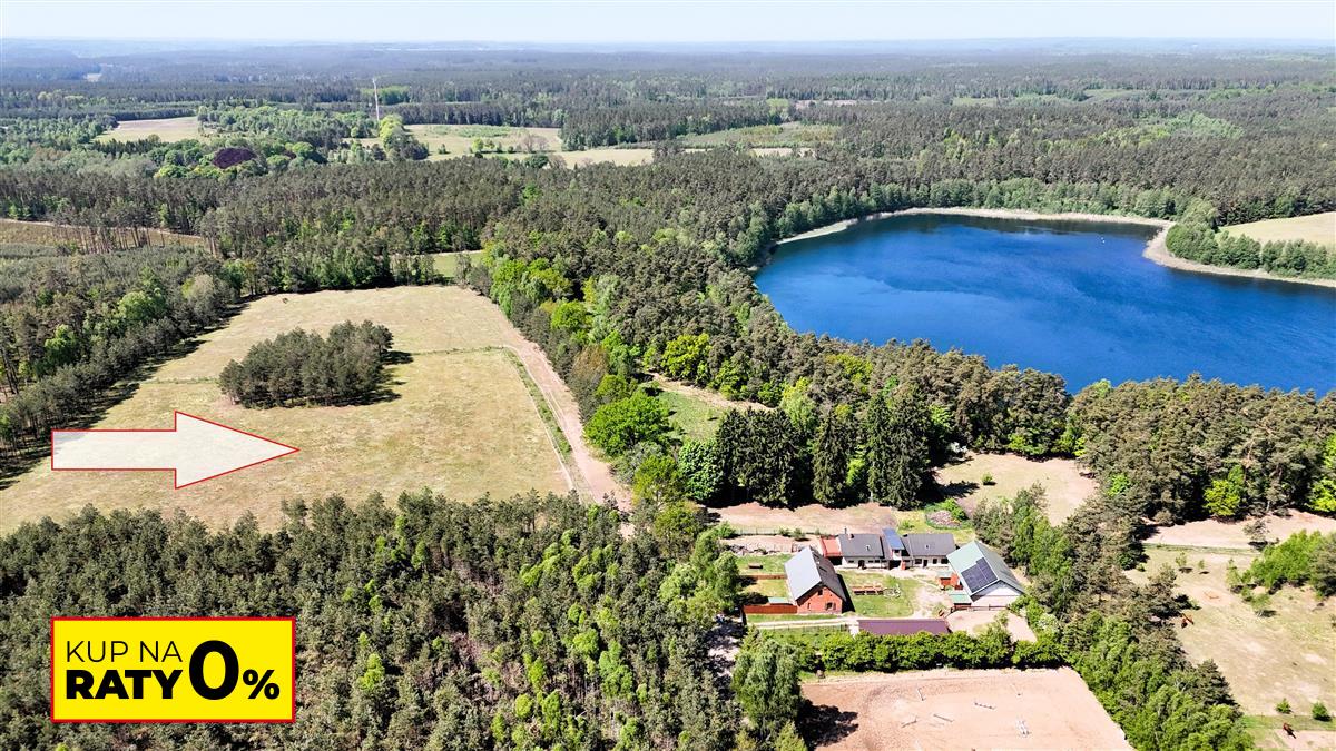 Sprzedaż Działka siedliskowa Okole