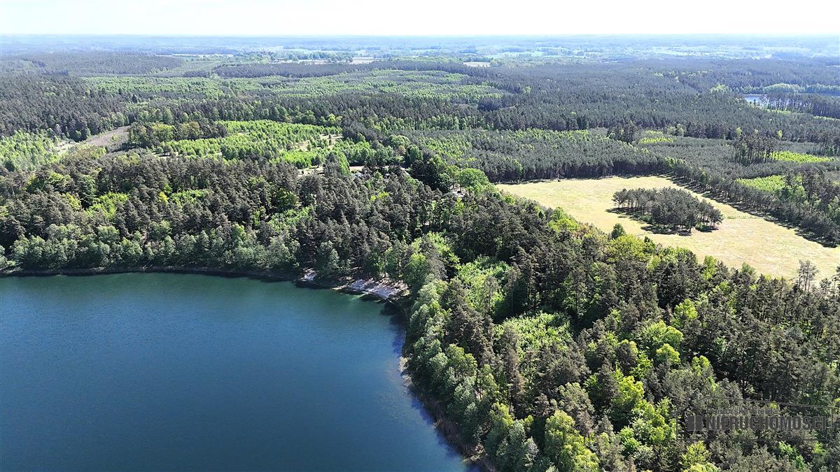 Sprzedaż Działka siedliskowa Okole