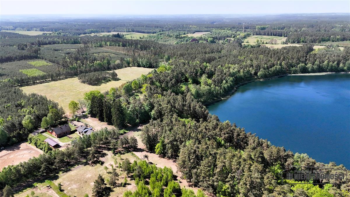 Sprzedaż Działka siedliskowa Okole