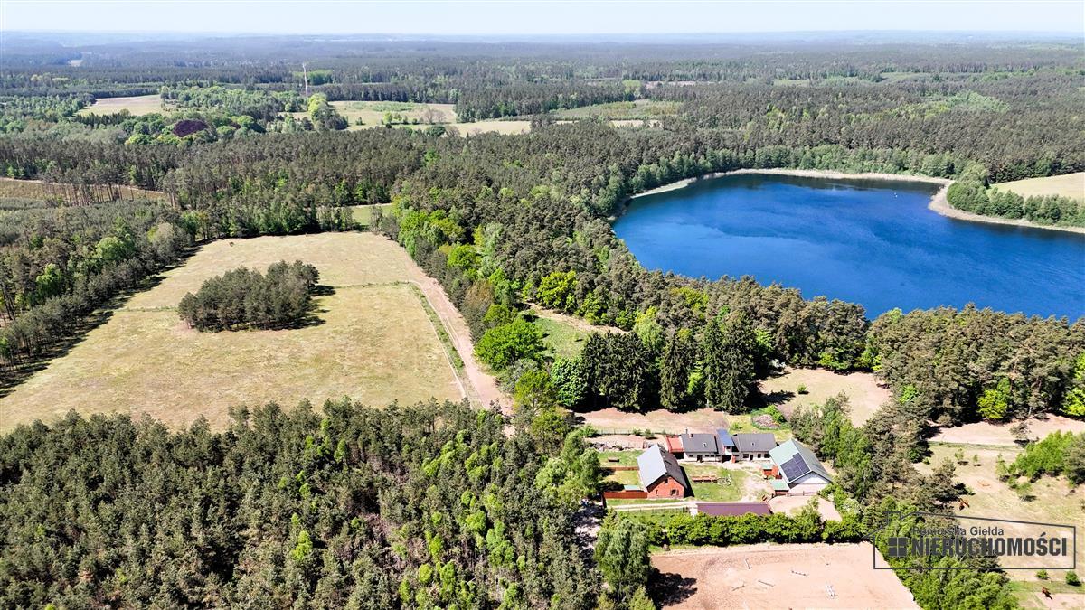 Sprzedaż Działka siedliskowa Okole