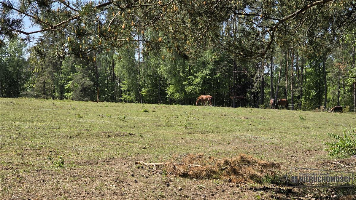 Sprzedaż Działka siedliskowa Okole