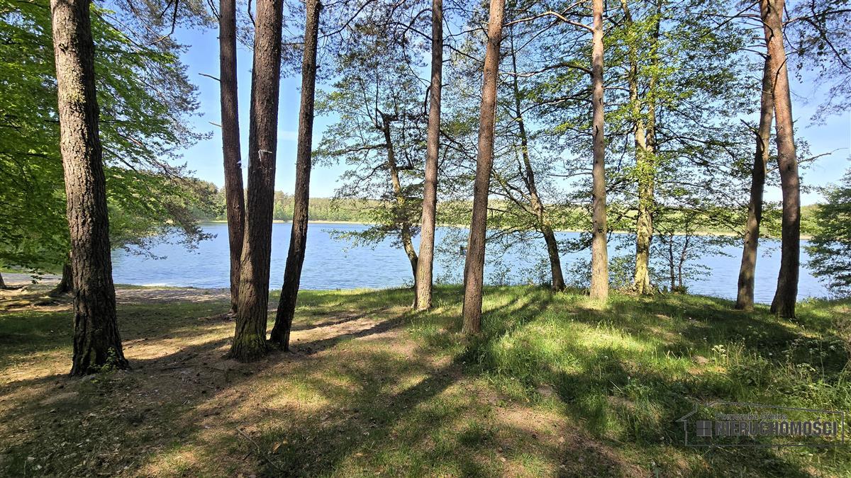 Sprzedaż Działka siedliskowa Okole