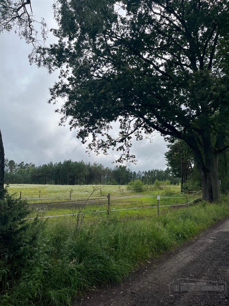 Sprzedaż Działka siedliskowa Okole