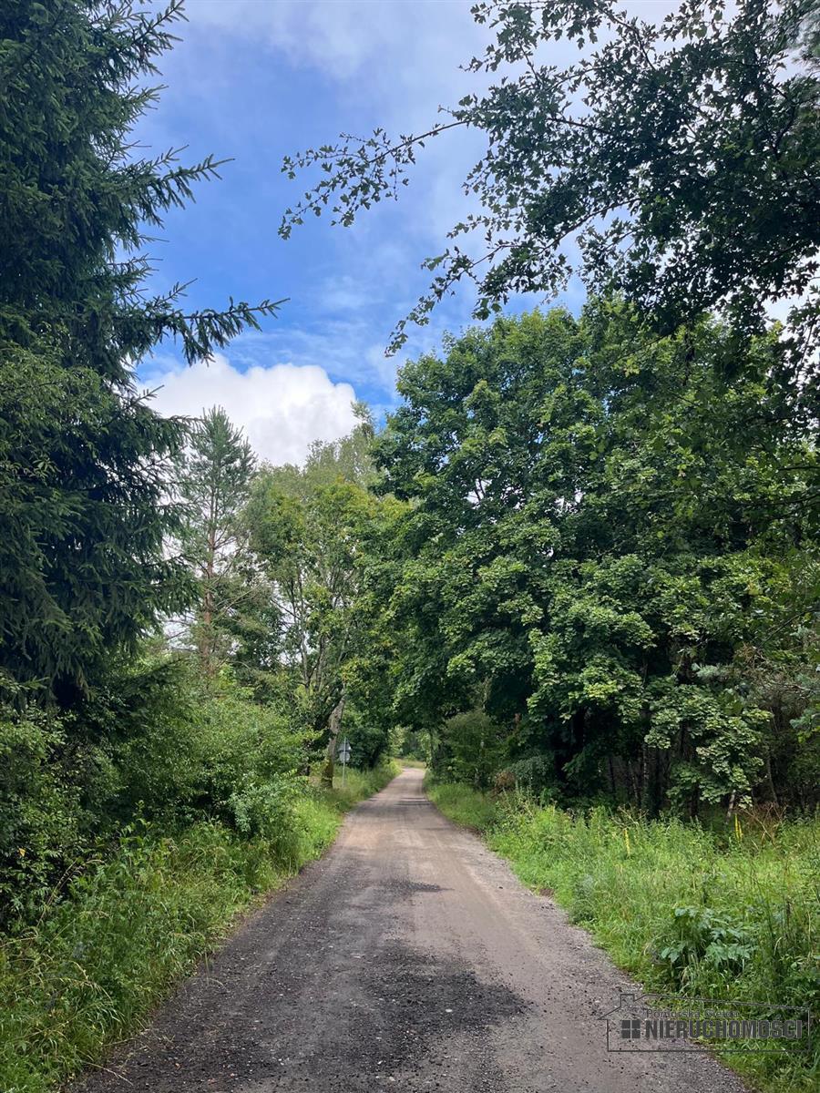 Sprzedaż Działka siedliskowa Okole