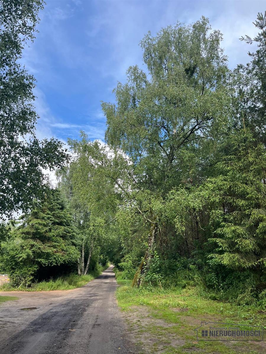 Sprzedaż Działka siedliskowa Okole