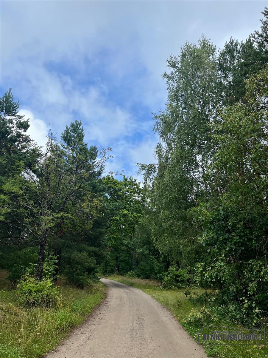 Sprzedaż Działka siedliskowa Okole