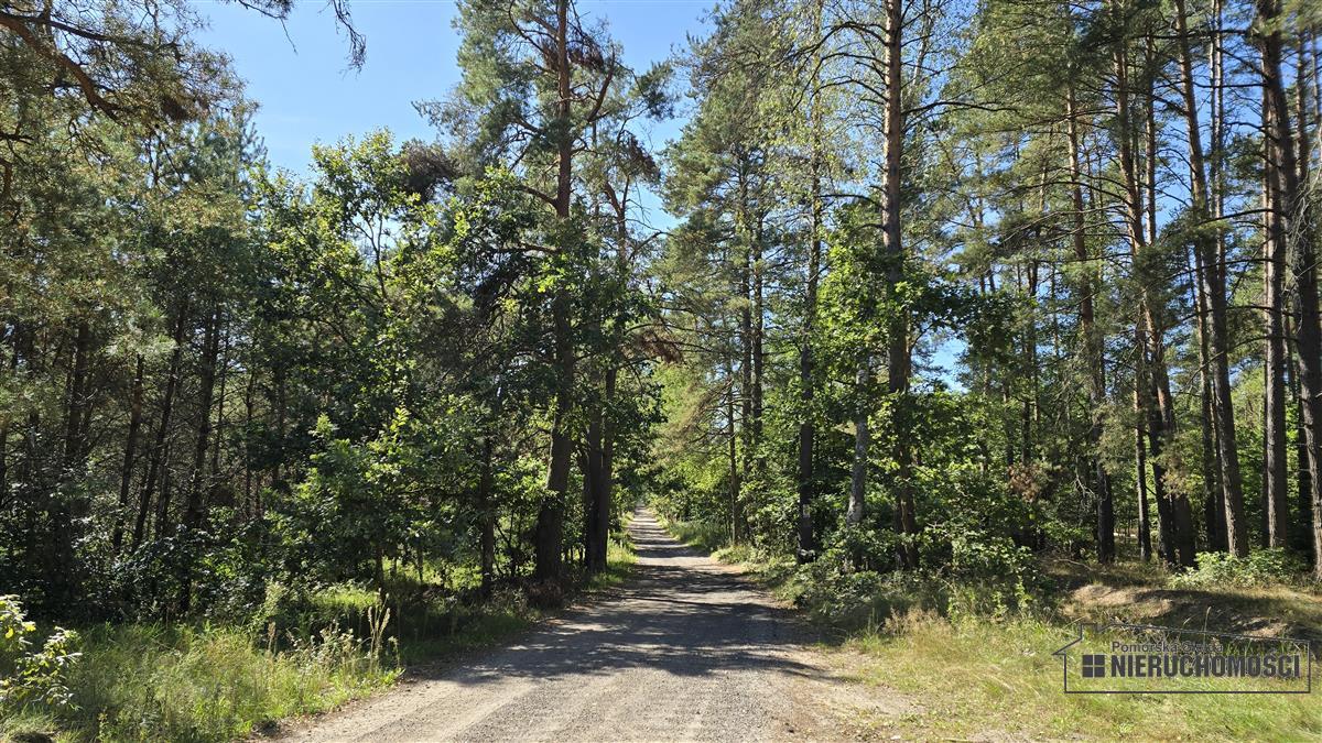 Sprzedaż Działka siedliskowa Okole