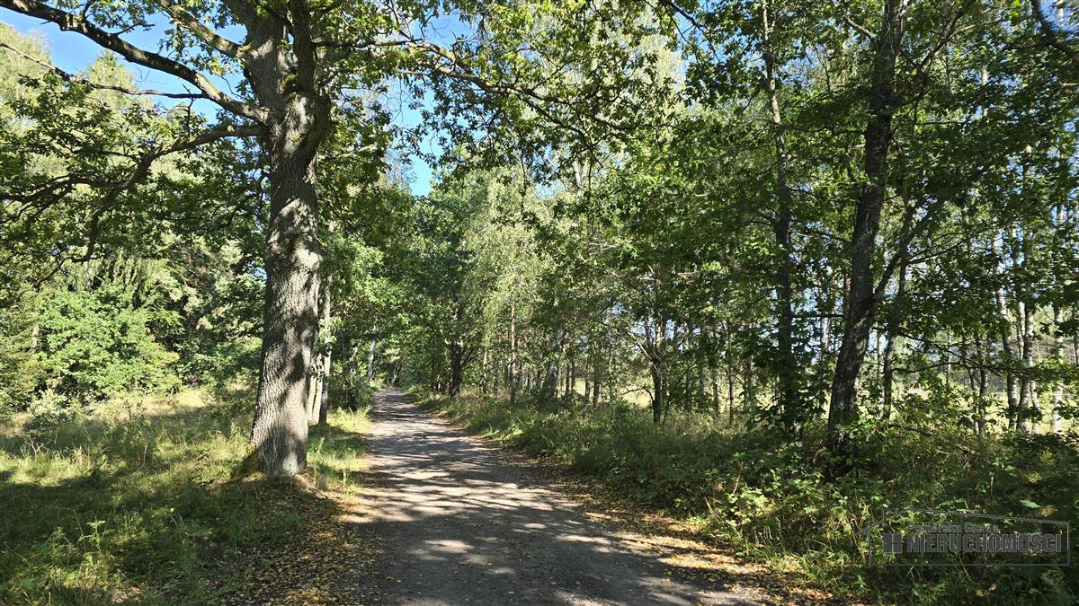 Sprzedaż Działka siedliskowa Okole