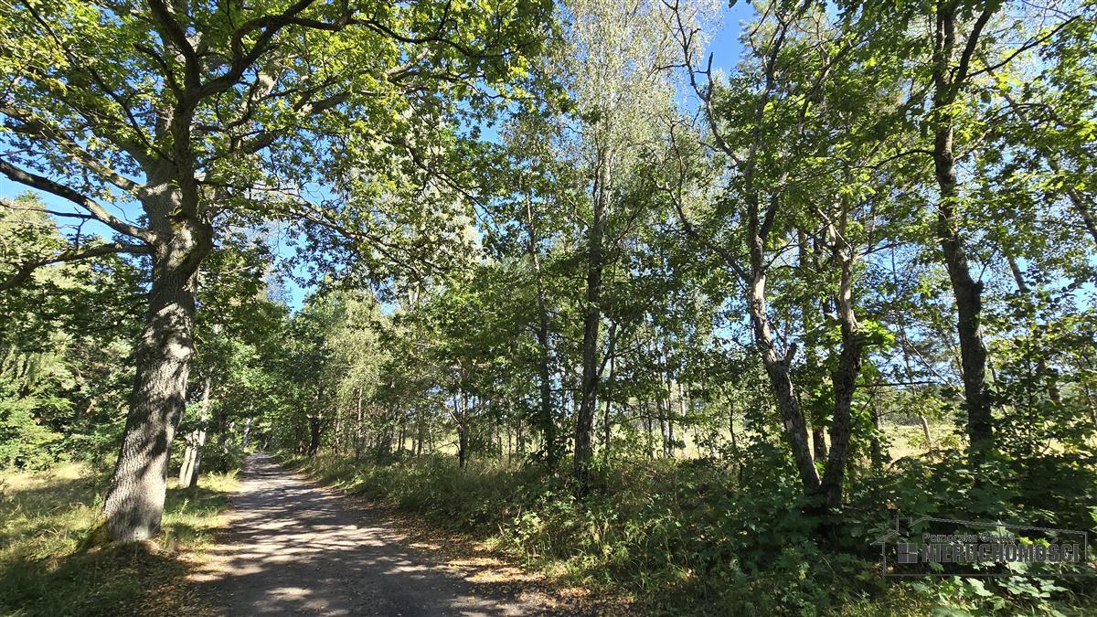 Sprzedaż Działka siedliskowa Okole