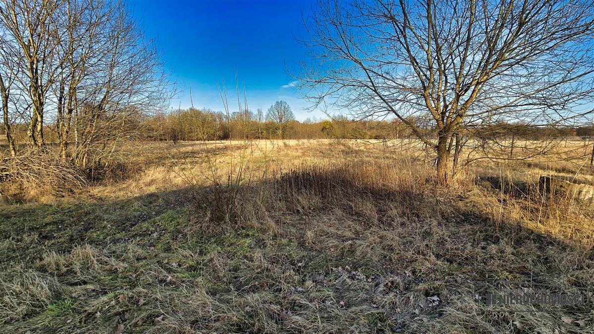 Sprzedaż Działka Redło