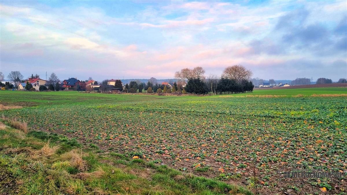 Sprzedaż Działka budowlana Marcelin