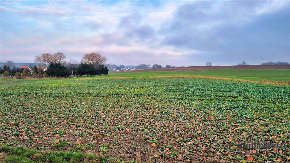 Sprzedaż Działka budowlana Marcelin