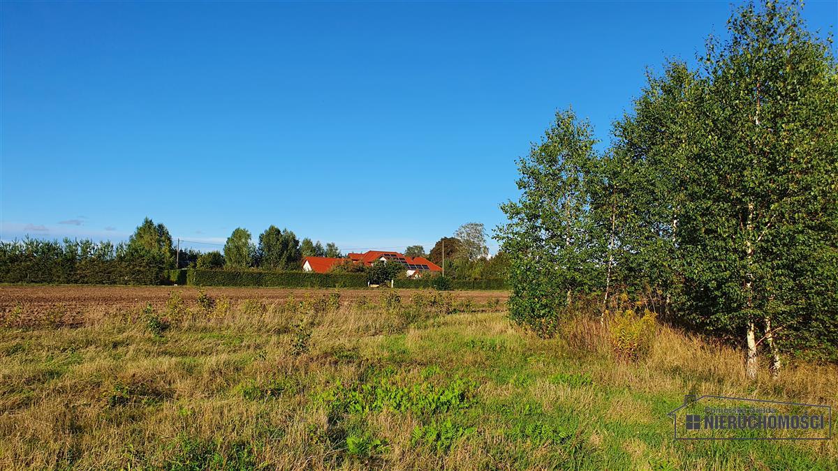 Sprzedaż Działka budowlana Dargikowo