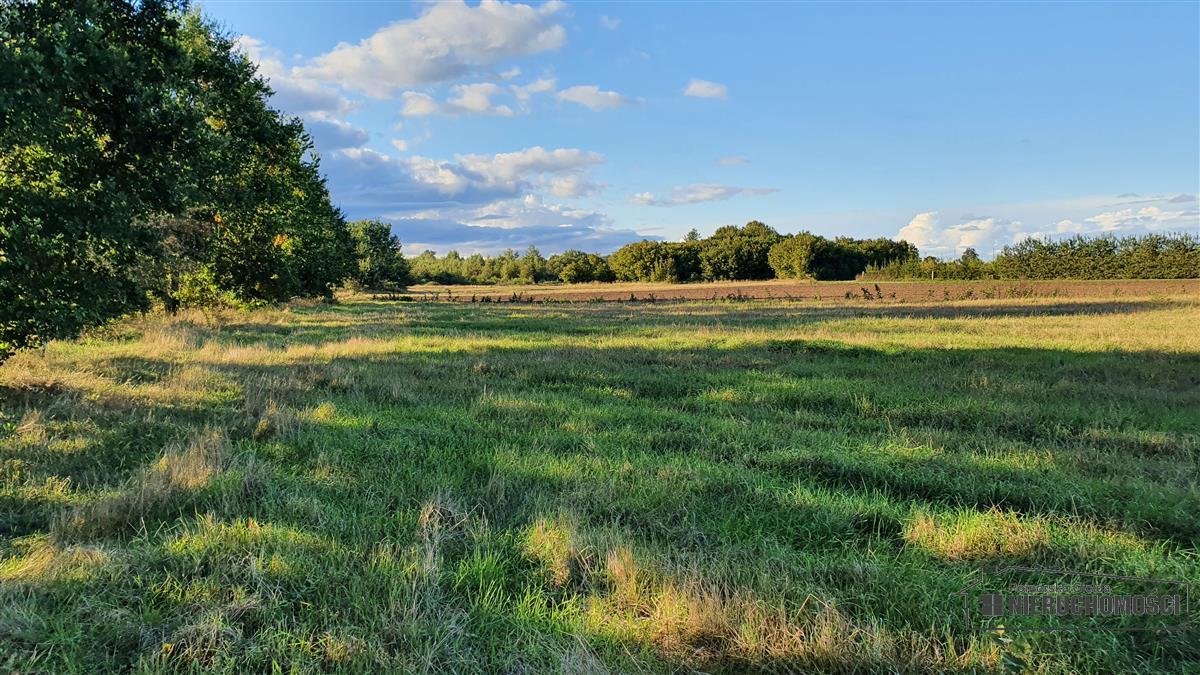 Sprzedaż Działka budowlana Dargikowo