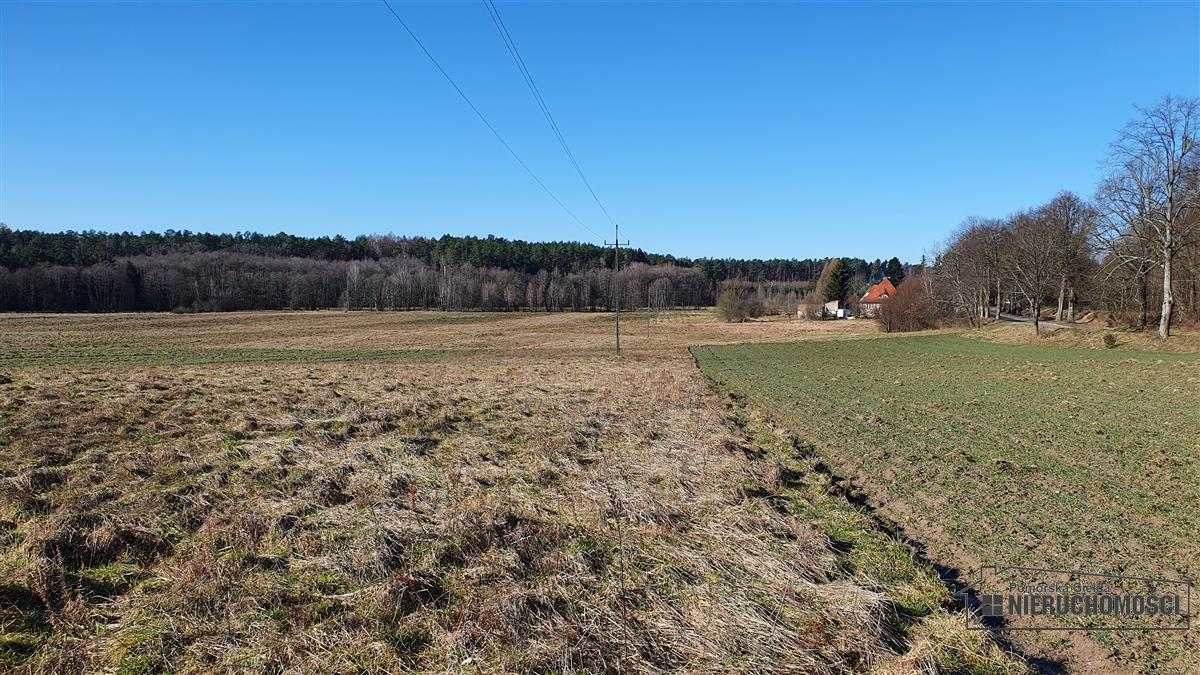 Sprzedaż Działka budowlana Zaspy Małe