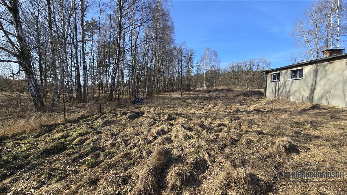 Sprzedaż Działka budowlana Nobliny