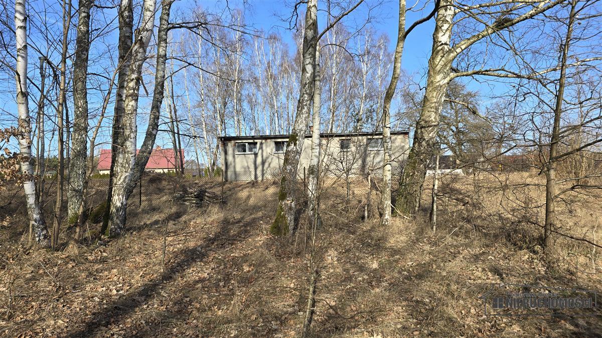 Sprzedaż Działka budowlana Nobliny