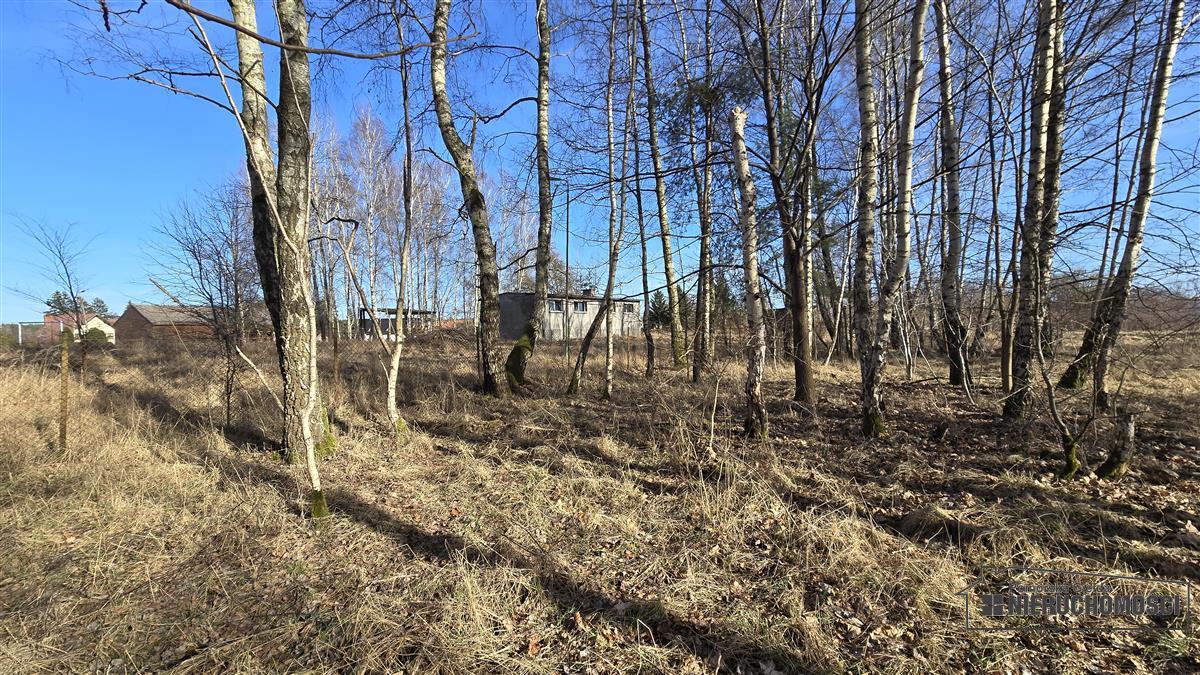 Sprzedaż Działka budowlana Nobliny