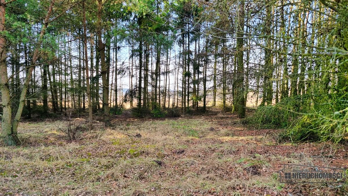 Sprzedaż Działka budowlana Gwda Mała