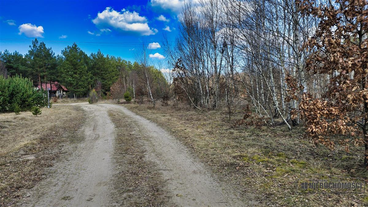 Sprzedaż Działka siedliskowa Starowice