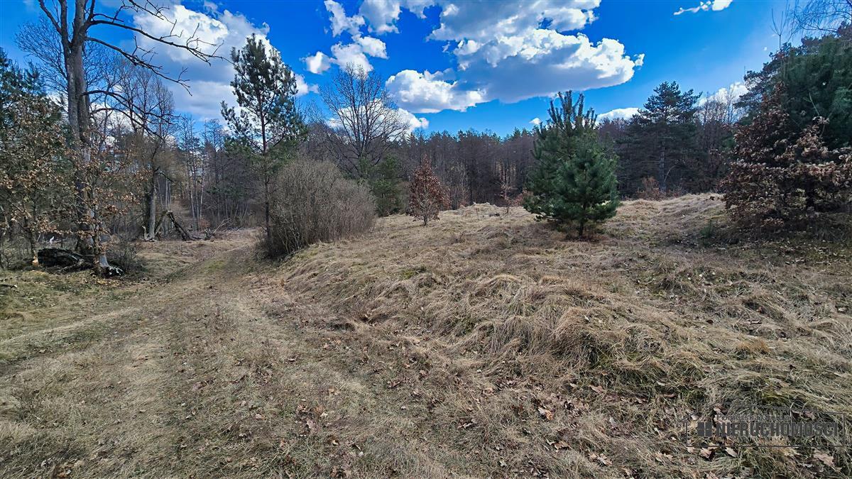 Sprzedaż Działka siedliskowa Starowice