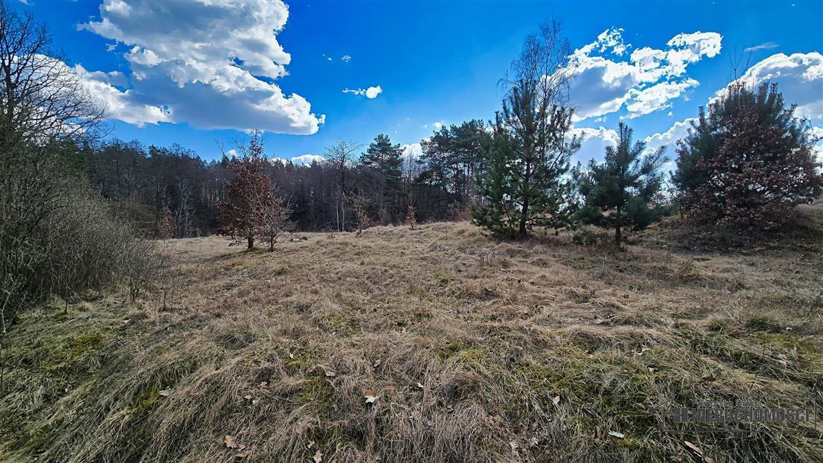 Sprzedaż Działka siedliskowa Starowice