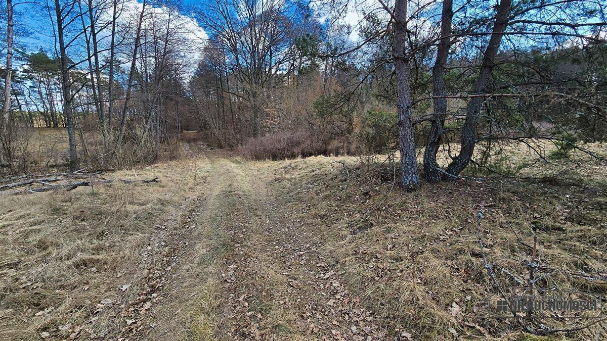 Sprzedaż Działka siedliskowa Starowice