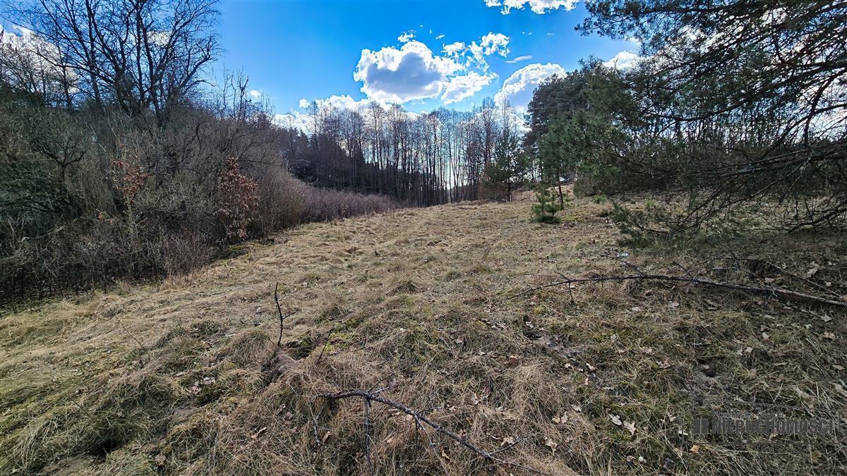 Sprzedaż Działka siedliskowa Starowice