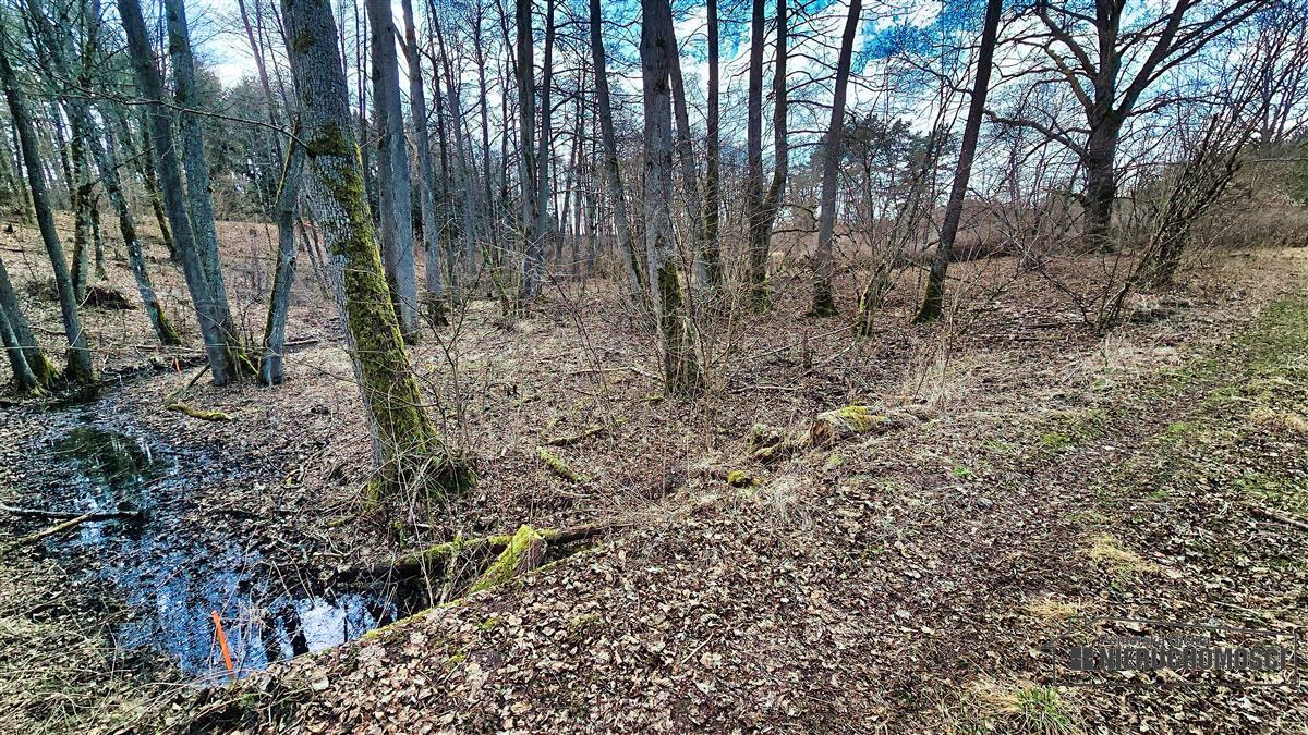 Sprzedaż Działka siedliskowa Starowice