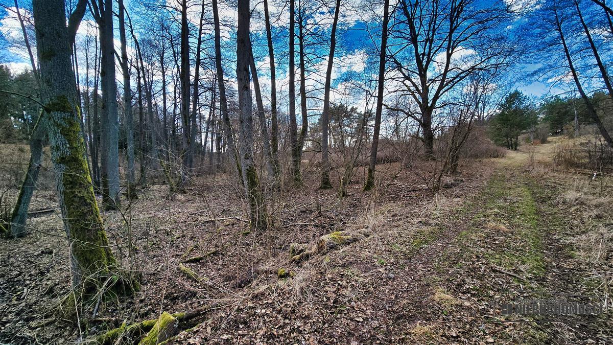 Sprzedaż Działka siedliskowa Starowice