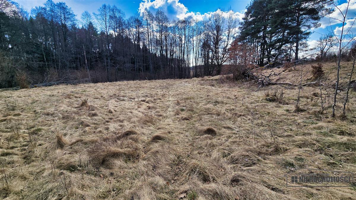 Sprzedaż Działka siedliskowa Starowice