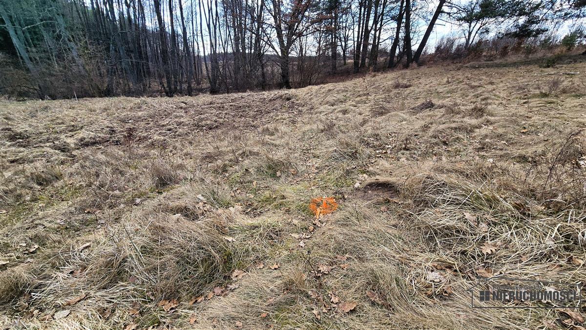 Sprzedaż Działka siedliskowa Starowice