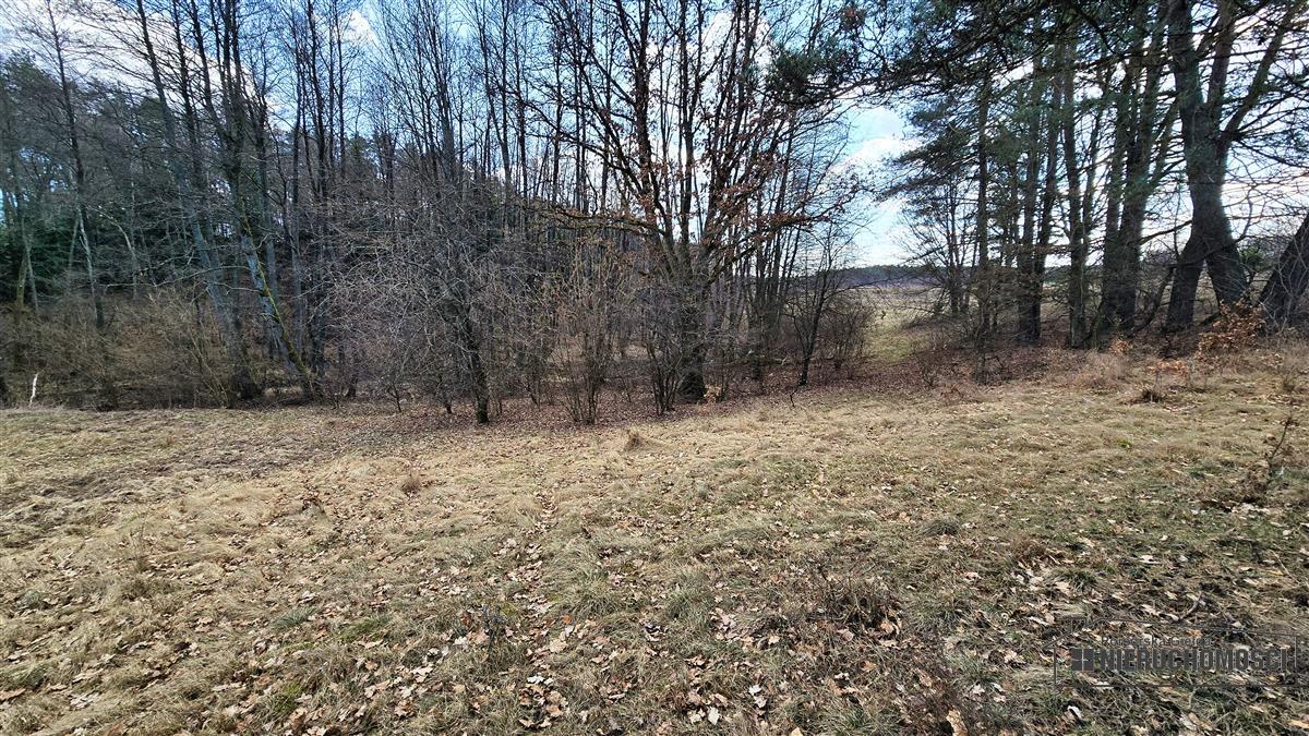 Sprzedaż Działka siedliskowa Starowice