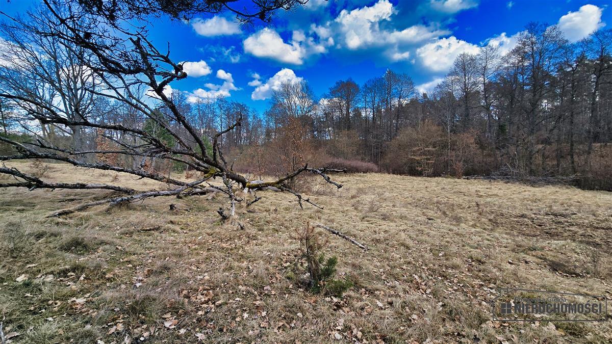 Sprzedaż Działka siedliskowa Starowice