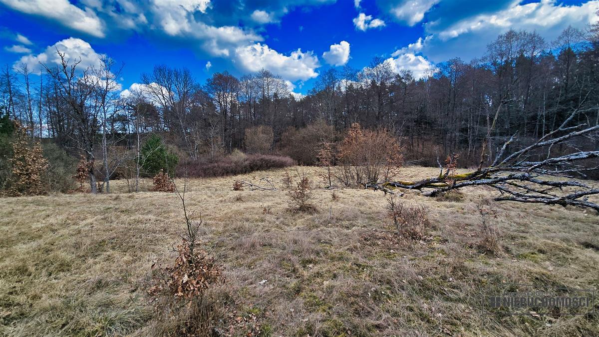 Sprzedaż Działka siedliskowa Starowice