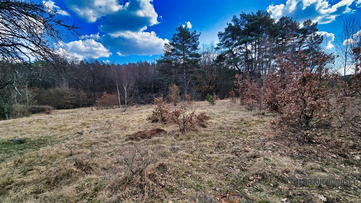 Sprzedaż Działka siedliskowa Starowice