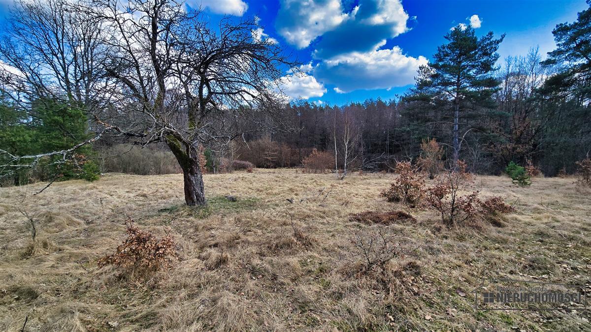 Sprzedaż Działka siedliskowa Starowice