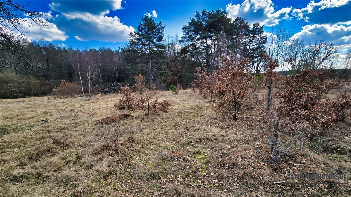 Sprzedaż Działka siedliskowa Starowice