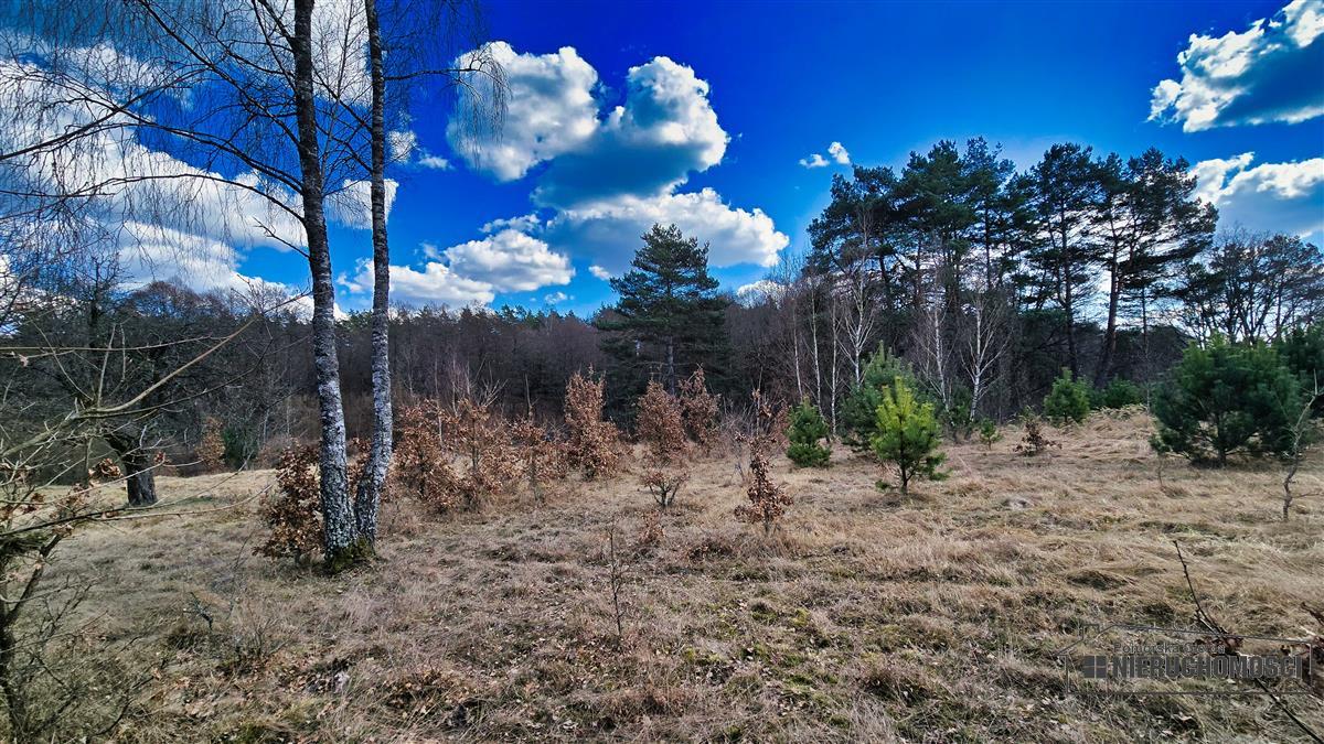 Sprzedaż Działka siedliskowa Starowice